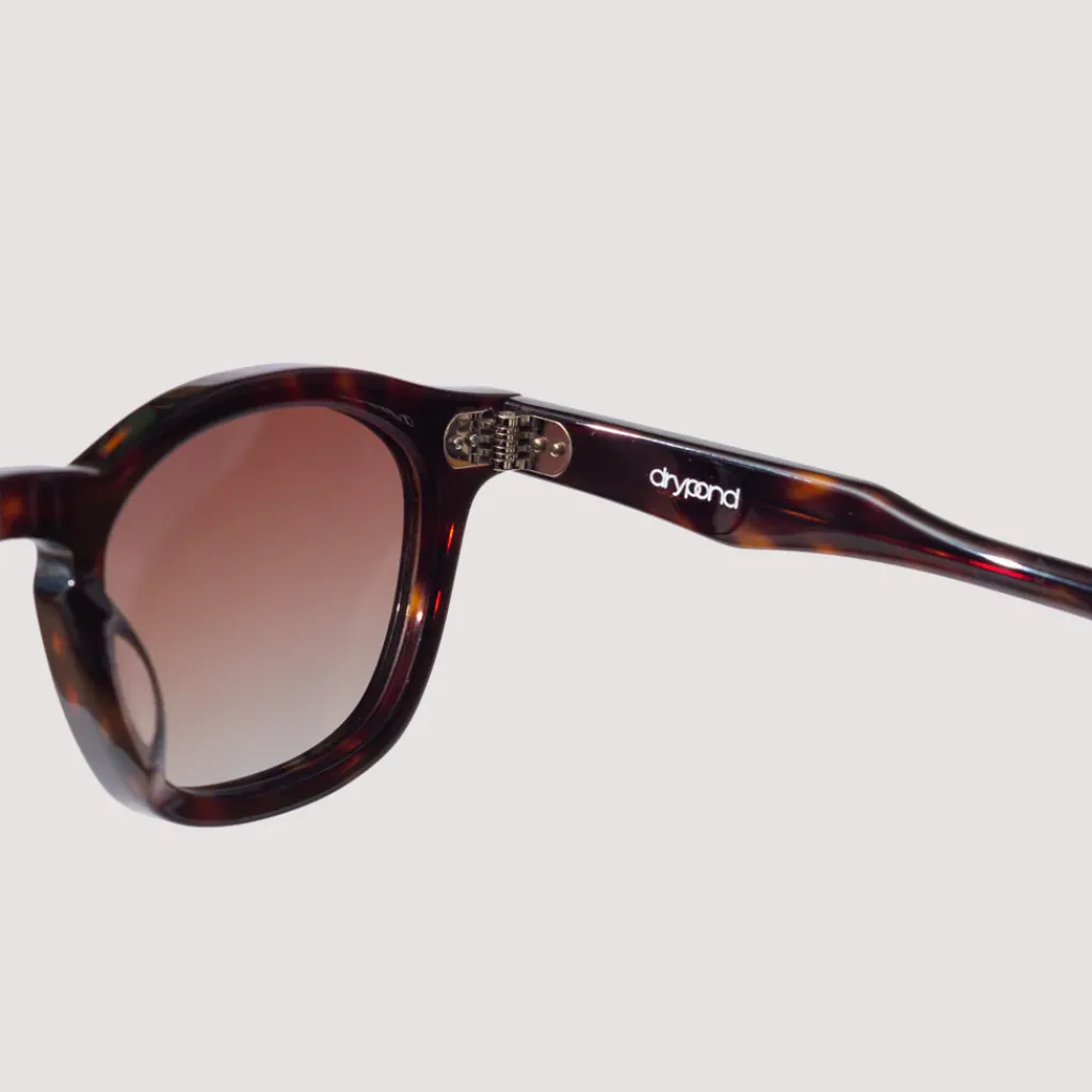Sunglasses|Drypond Alves - Tortoise