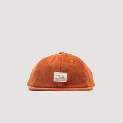 Headwear|Patagonia Corduroy Cap - Skyline Robin Brown