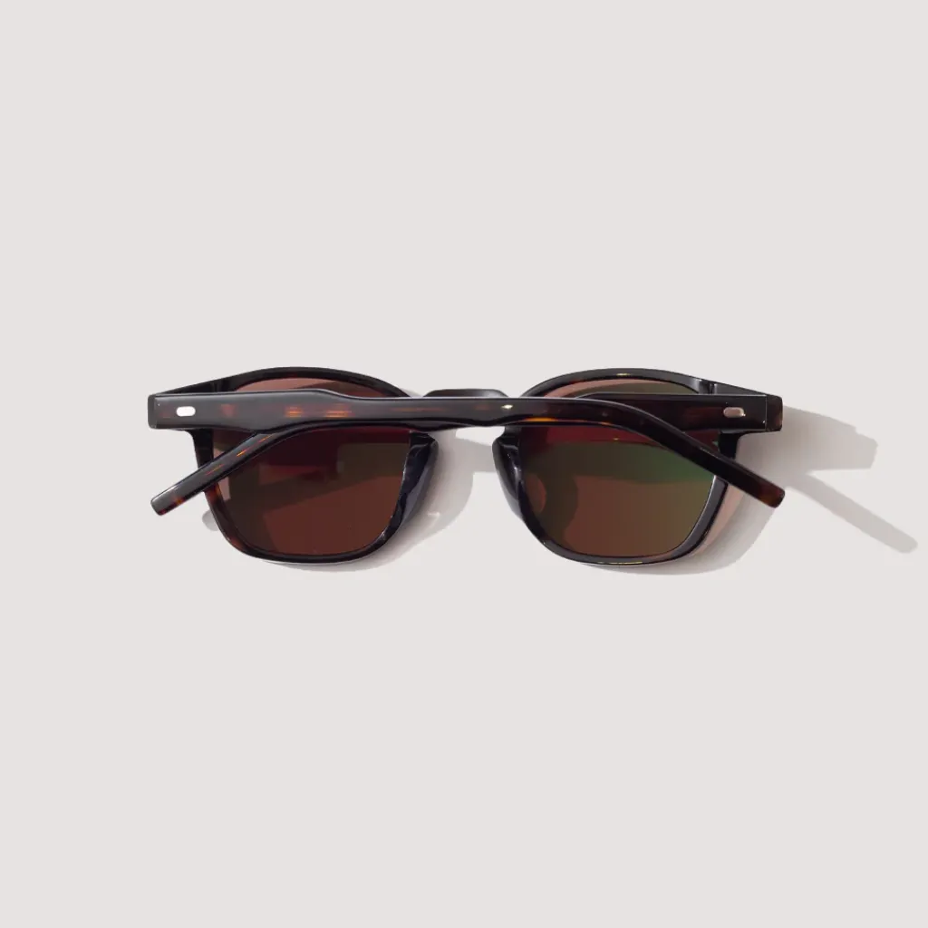 Sunglasses|Drypond Kaslo - Tortoise