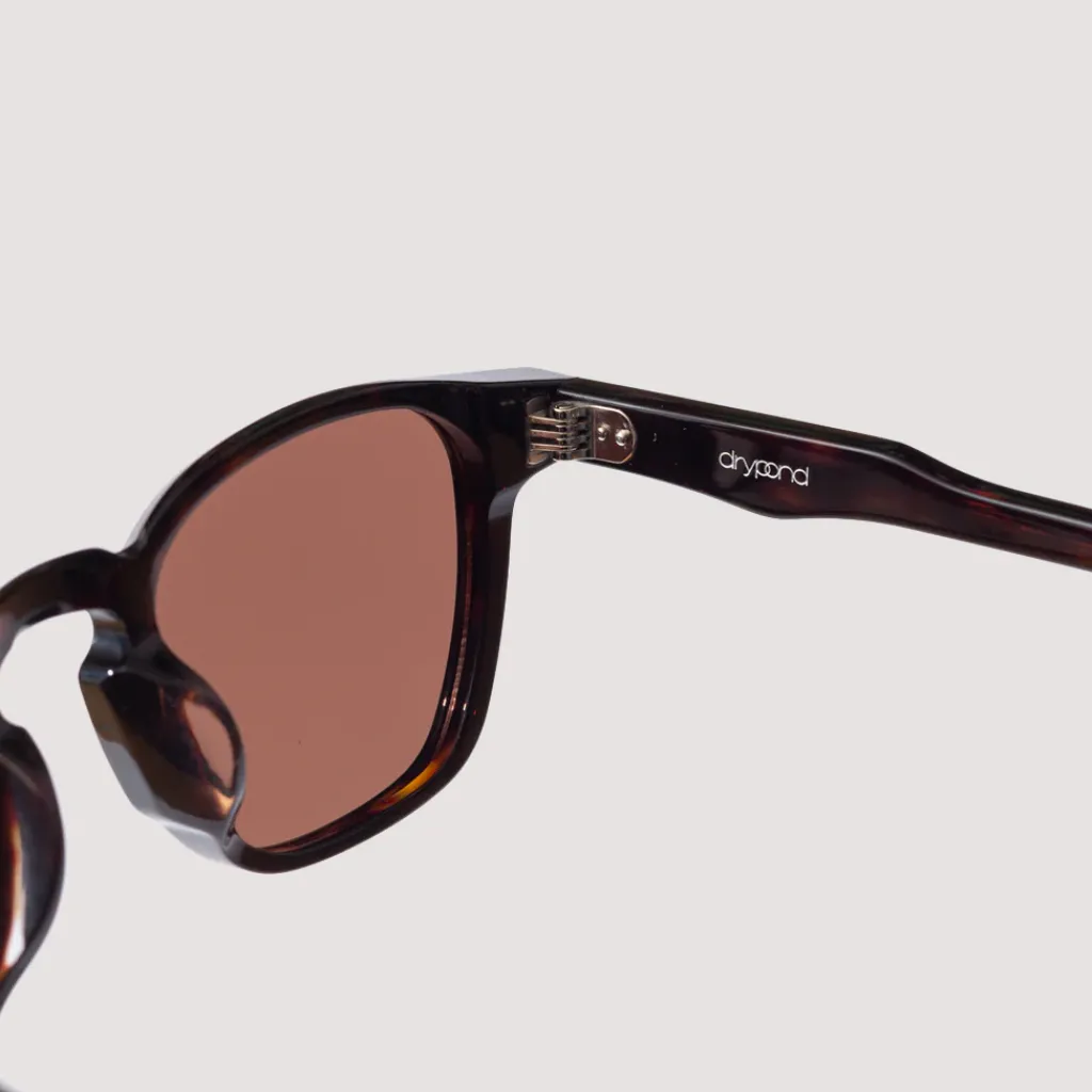 Sunglasses|Drypond Kaslo - Tortoise