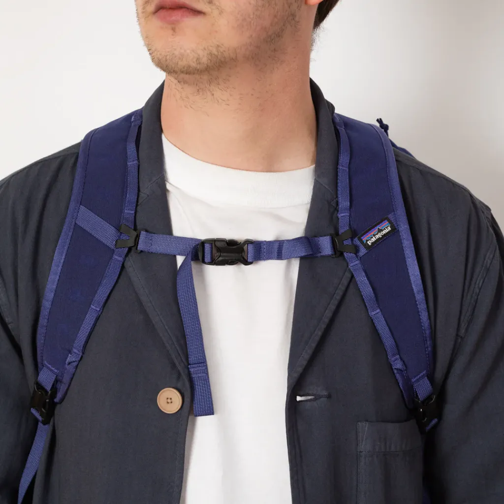 Bags|Patagonia Terravia Tote Pack - Solstice Purple